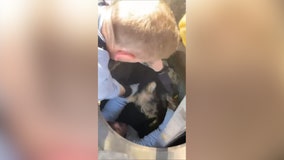 First responders work together to rescue puppy trapped in storm drain