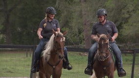 2 rescued mustangs are newest members of Hernando County Sheriff's Civilian Mounted Unit