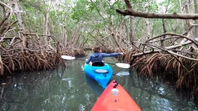 Kayak company connects paddlers with Tampa Bay ecosystem 