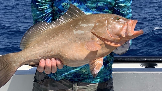 Fishing Report: April 16, 2021