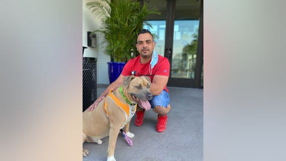 Cross-country team's efforts help deaf dog find new home