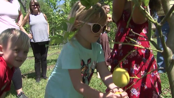 Clearwater man creates ‘garden of paradise’ to balance ecosystem, educate community