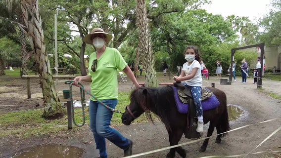 Children reap benefits of interacting with rescued animals at Tampa farm