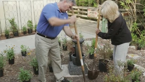 Program aims to teach water-friendly gardening in St. Pete