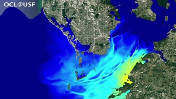 USF’s red tide research helps predict Piney Point wastewater flow