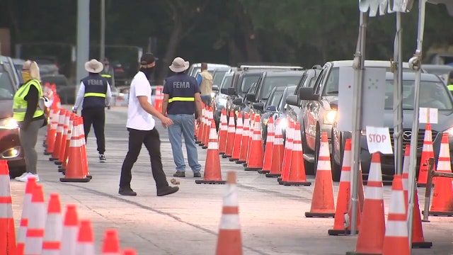 Local health officials report rising COVID infections in every age group within Florida