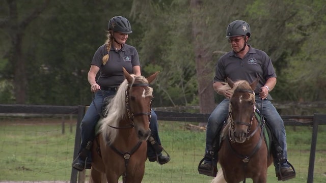 2 rescued mustangs are newest members of Hernando County Sheriff's Civilian Mounted Unit