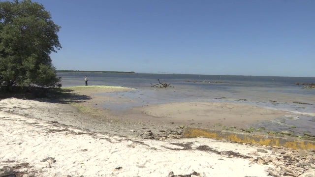 Pinellas County receiving millions in state funding to address flooding, sea level rise