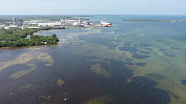 Impact of Piney Point water release on Tampa Bay may not be known for months