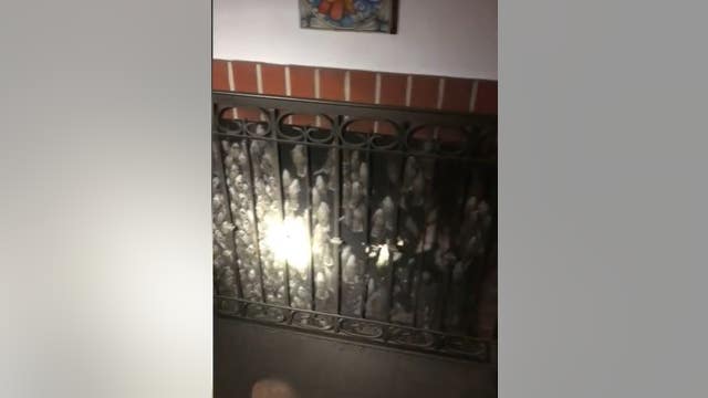 California firefighters release 1,000 small birds that were trapped in chimney