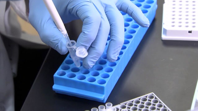 66 out of 67 Florida counties report 'high levels' of COVID transmissions, CDC says