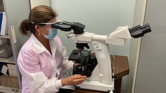 Sarasota Memorial Hospital kicks off study in search of better weapons against COVID-19