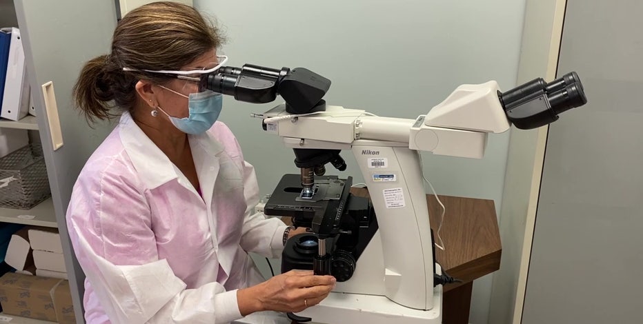 Sarasota Memorial Hospital kicks off study in search of better weapons against COVID-19