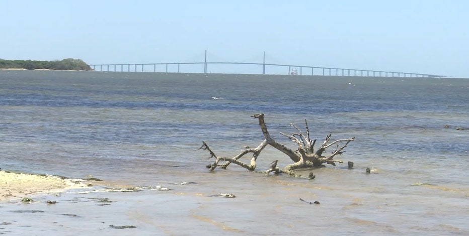 USF scientists begin searching for Piney Point environmental impacts in Tampa Bay, Port Manatee