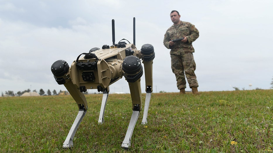 USAF_robot_dog_2.jpg