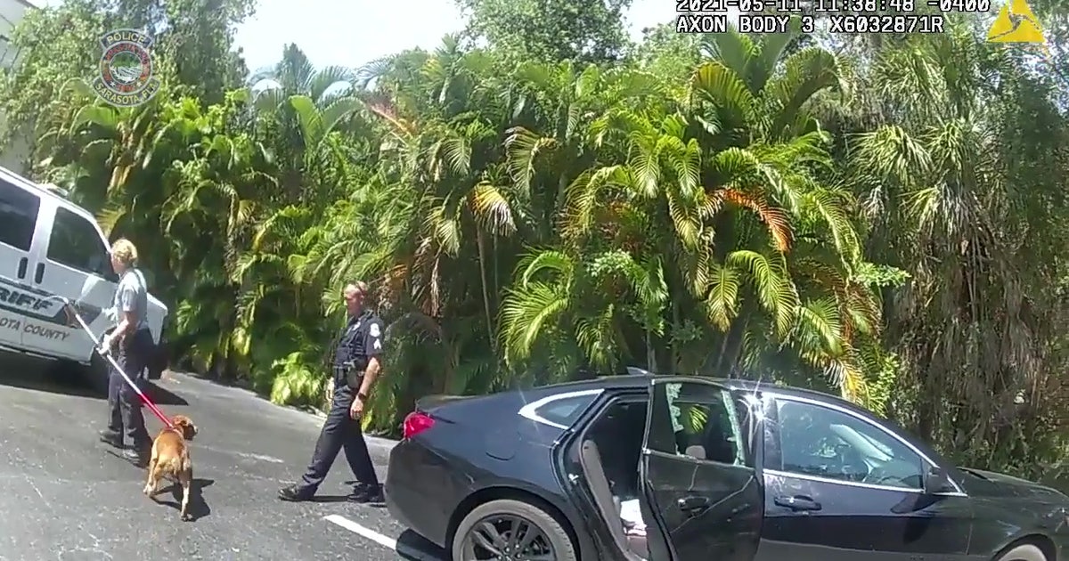 Sarasota officer breaks window to rescue dog left in hot car | FOX 13 ...