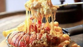 Marvel at Miami's most sought-after mac and cheese