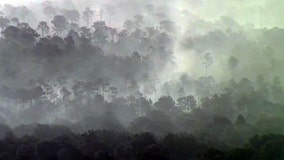 Dry, windy conditions provide dangerous fuel for wildfires