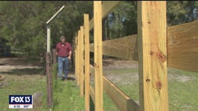 From lumber to gas to groceries, prices are higher than before with no end in sight