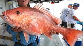 Fishing Report: Memorial Day weekend