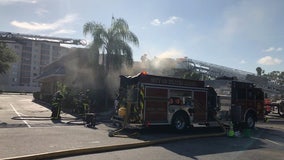 Fire guts Winter Haven restaurant; cooking oil accident blamed