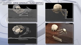 USF researcher explains process -- and meaning -- of finding 78,000-year-old burial site