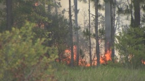 Polk County wildfires burn hundreds of acres, destroy 60 hunting camps