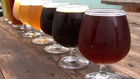 Economist: Florida's craft beer industry is faring better than expected, so far