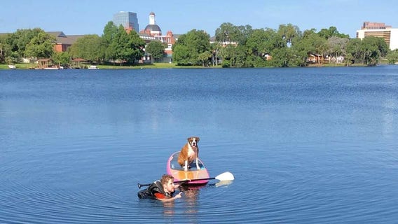 Orlando man coaxes pup onto paddleboard in Lake Highland rescue