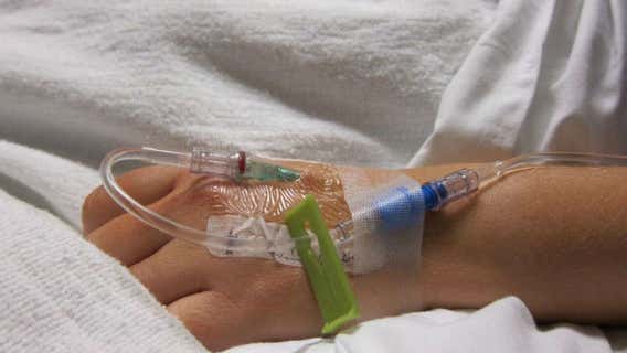 Doctors seek veto of 'bill of rights' for Florida parents