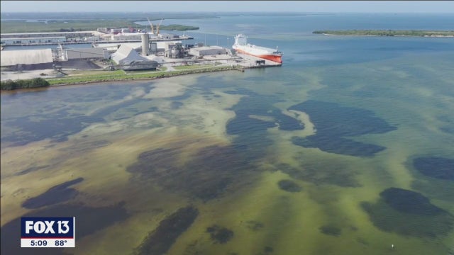 Samples suggest Piney Point discharge is diluting, USF researchers say