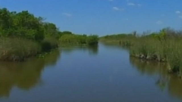 Man files first-ever lawsuit on behalf of nature