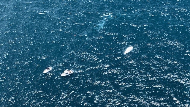 Coast Guard, good Samaritans rescue 5 in 2 separate incidents off Anclote, Indian Rocks Beach