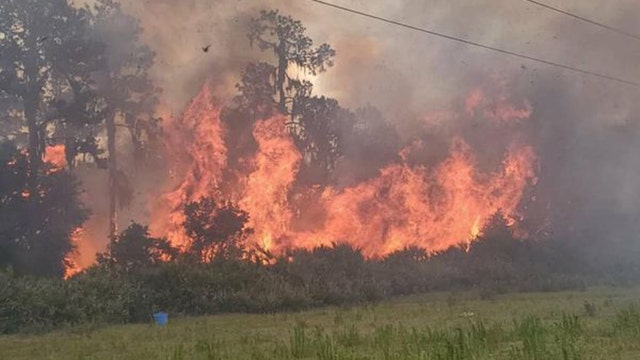 Florida officials warn of busy wildfire season, urge residents to prepare