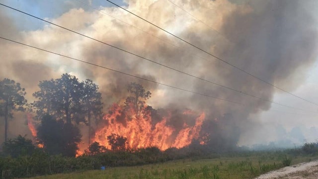 Balm Riverview brush fire contained after growing to 125 acres