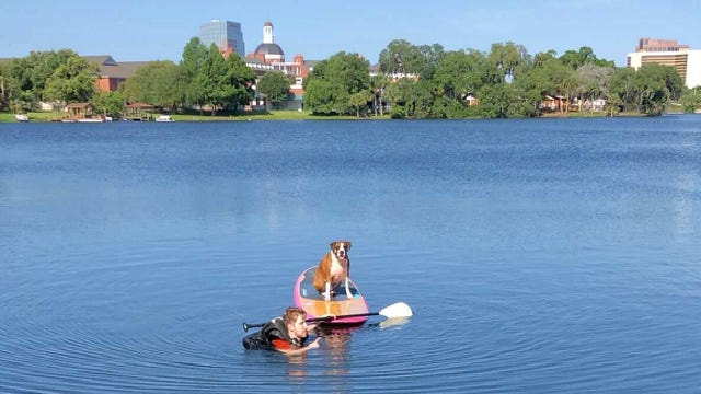 Orlando man coaxes pup onto paddleboard in Lake Highland rescue