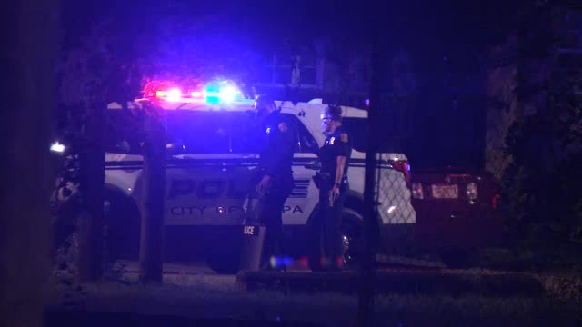 Tampa man arrested after pistol-whipping neighbor, barricading himself inside home, police say