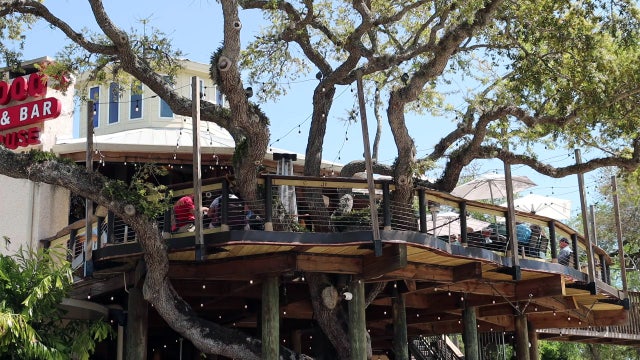 Iconic New Smyrna Beach restaurant features food, music, and a treehouse