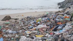 Volunteers keeping Gulf Coast beautiful on World Oceans Day