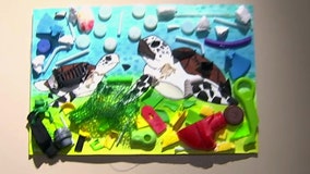Bay Area students' conservation artwork now on display at Florida Aquarium