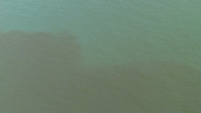 Red tide detected near Pasco County