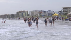 People pack beaches Father’s Day weekend despite patchy algal blooms