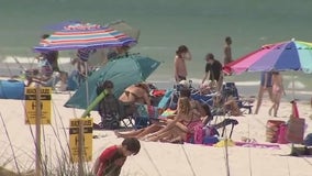 Tampa tourism kicks off spring with record-breaking month