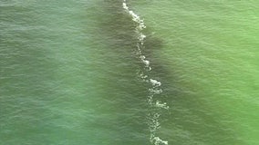 Red tide temporarily closes several Hillsborough County beaches