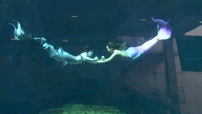 You can see mermaids at the Clearwater Marine Aquarium this summer