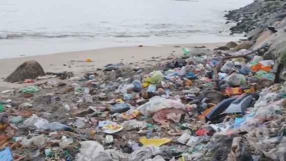 Volunteers keeping Gulf Coast beautiful on World Oceans Day