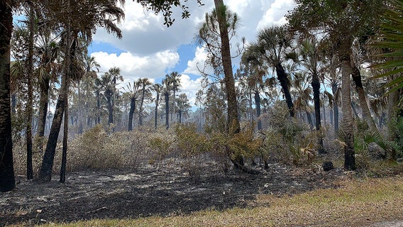 Danger remains high after lightning sparks multiple brush fires