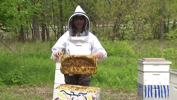 Clearwater garden has beekeepers buzzing about free place to keep hives, harvest honey
