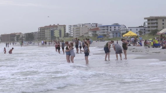 People pack beaches Father’s Day weekend despite patchy algal blooms
