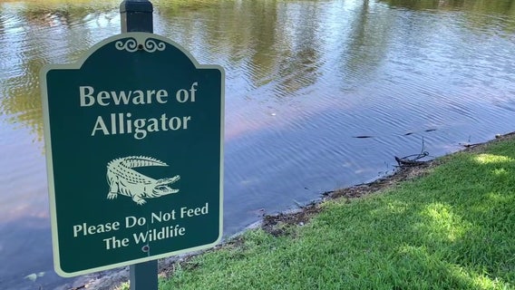 Alligator attack victim was unaware of dangers lurking in most Florida waterways, family says